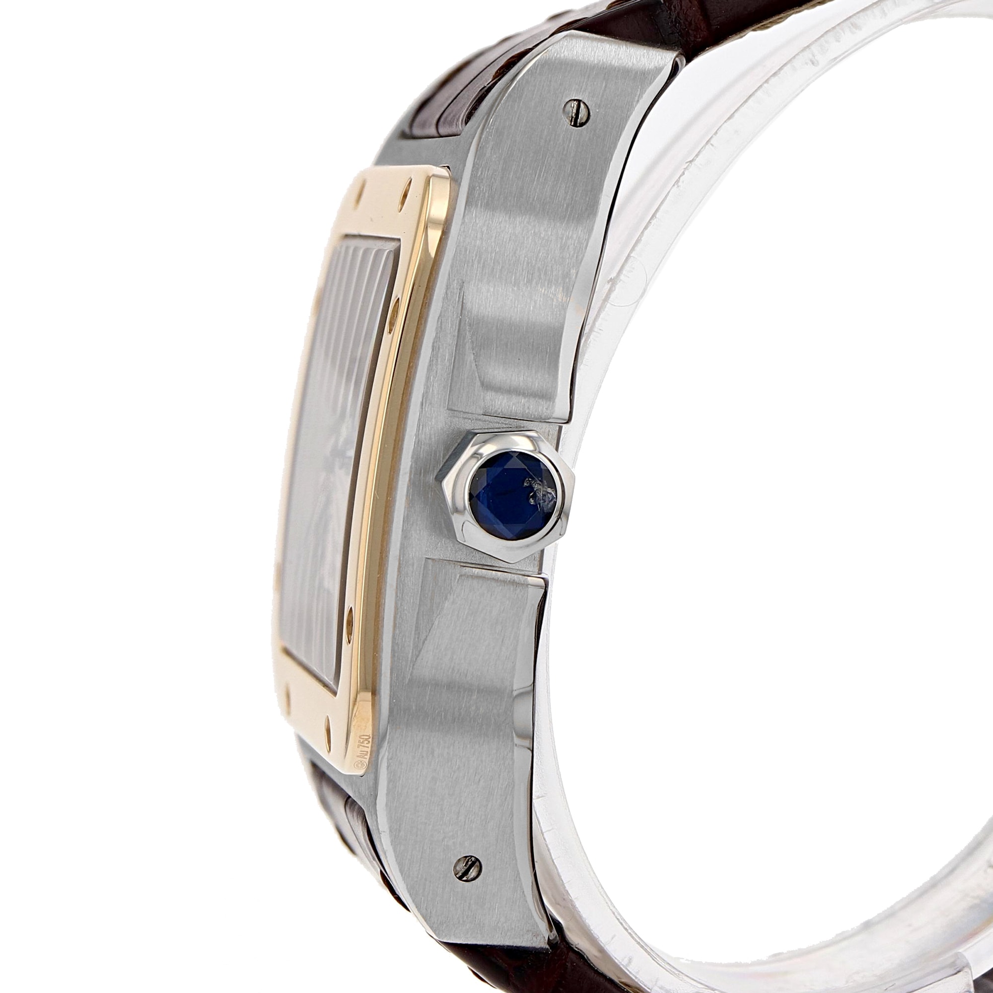 Cartier Santos 100 W20072X7