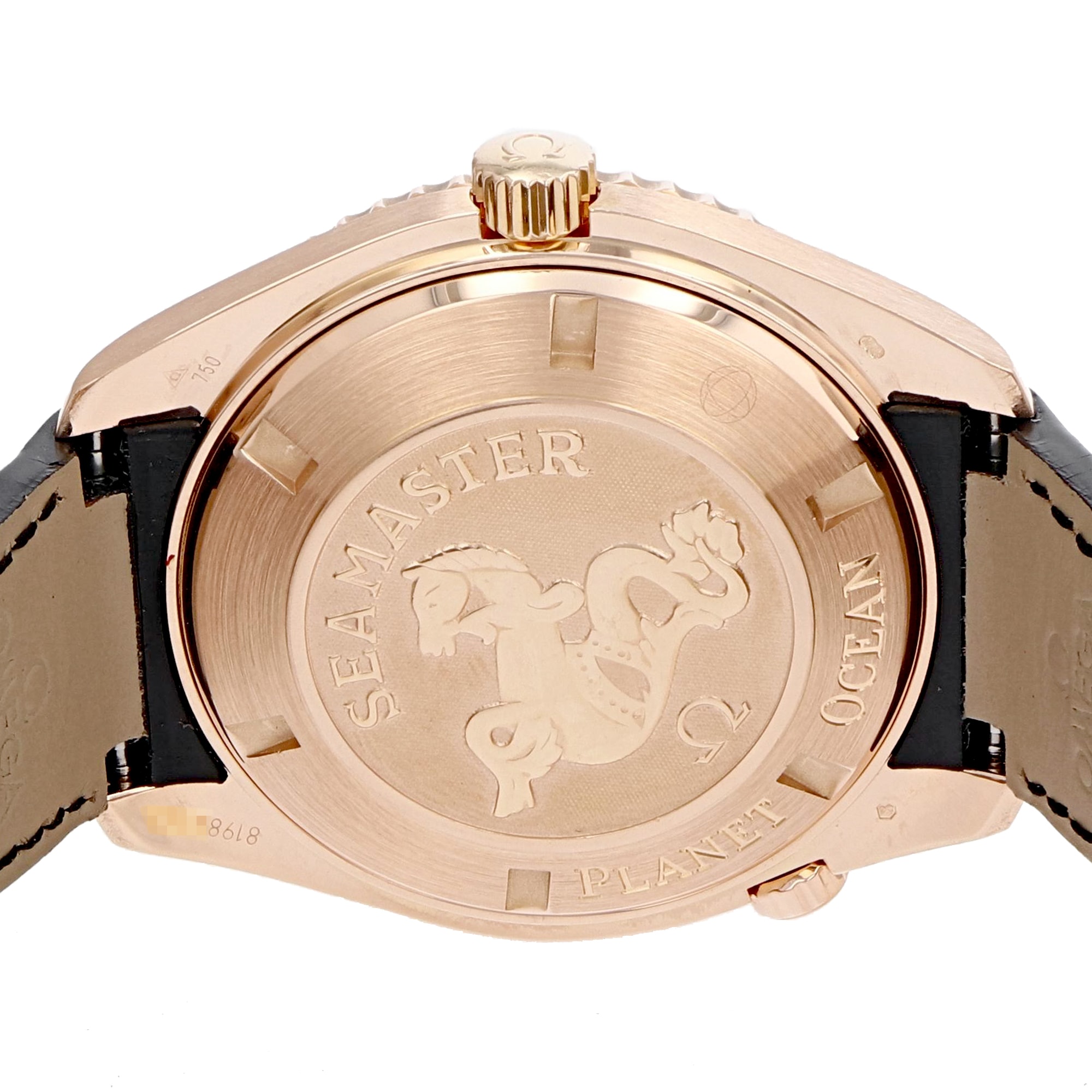 Omega Seamaster Planet Ocean 222.63.46.20.01.001