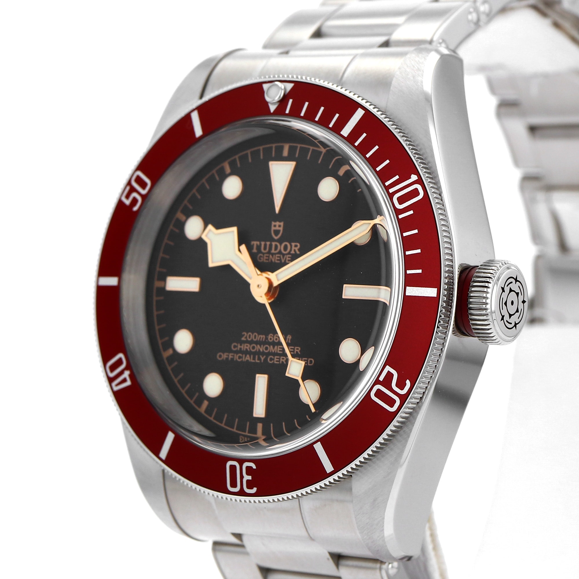 Tudor Black Bay 79230R