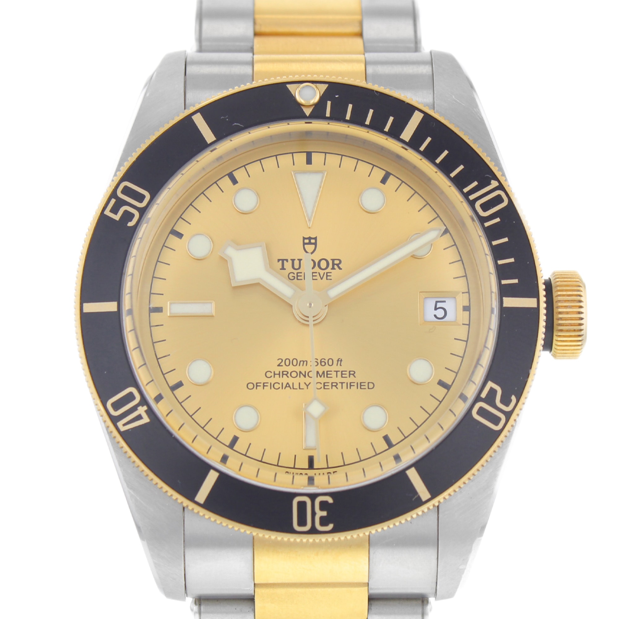 Tudor Black Bay 79733N