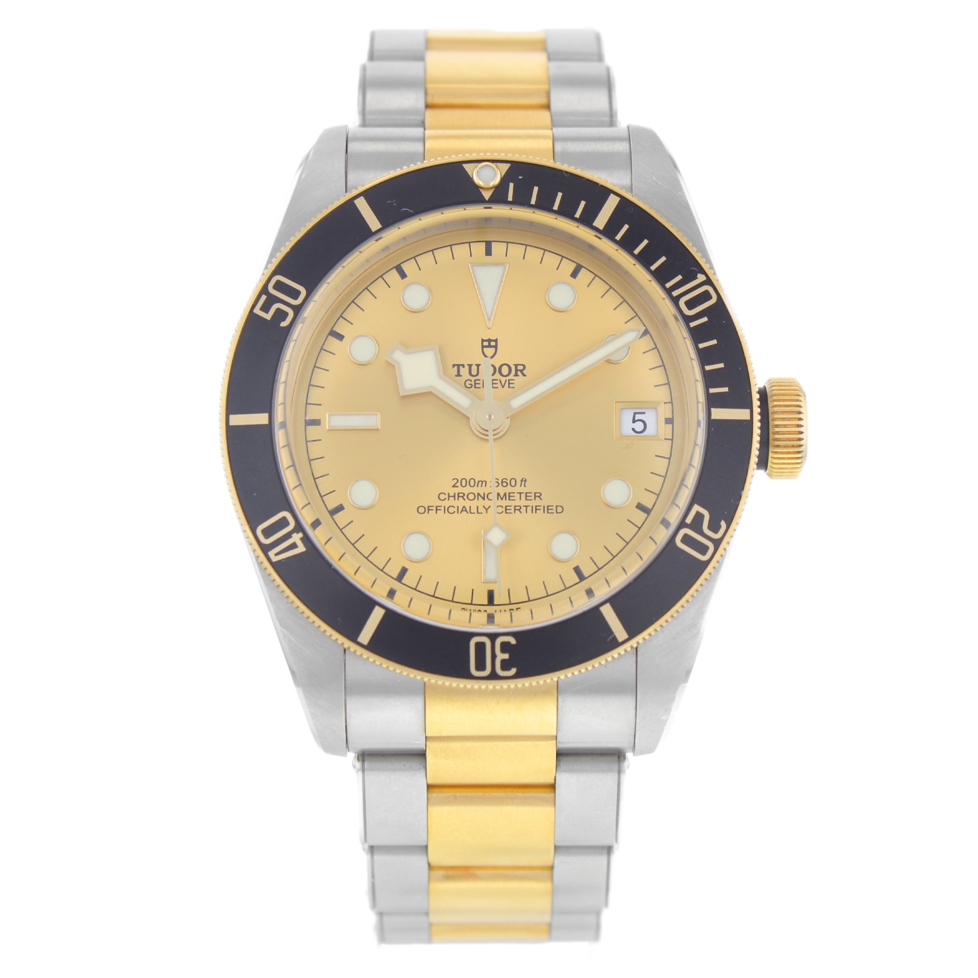 Tudor Black Bay 79733N