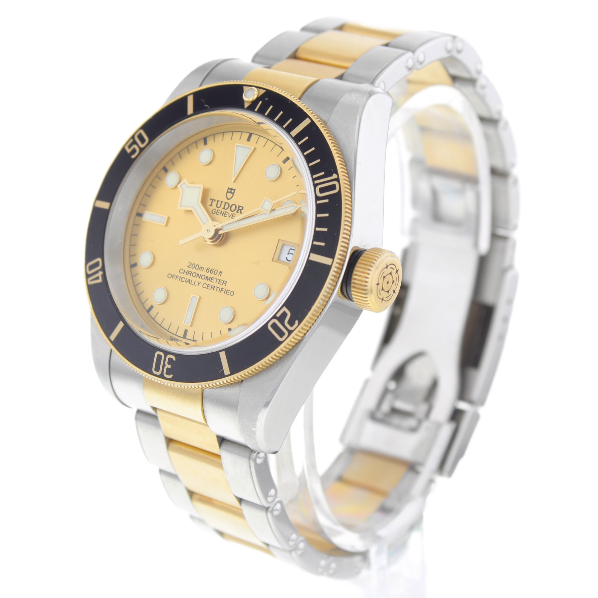 Tudor Black Bay 79733N