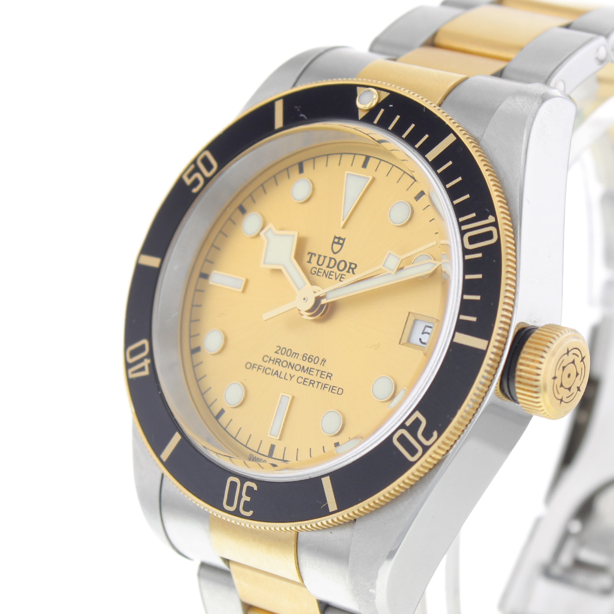 Tudor Black Bay 79733N