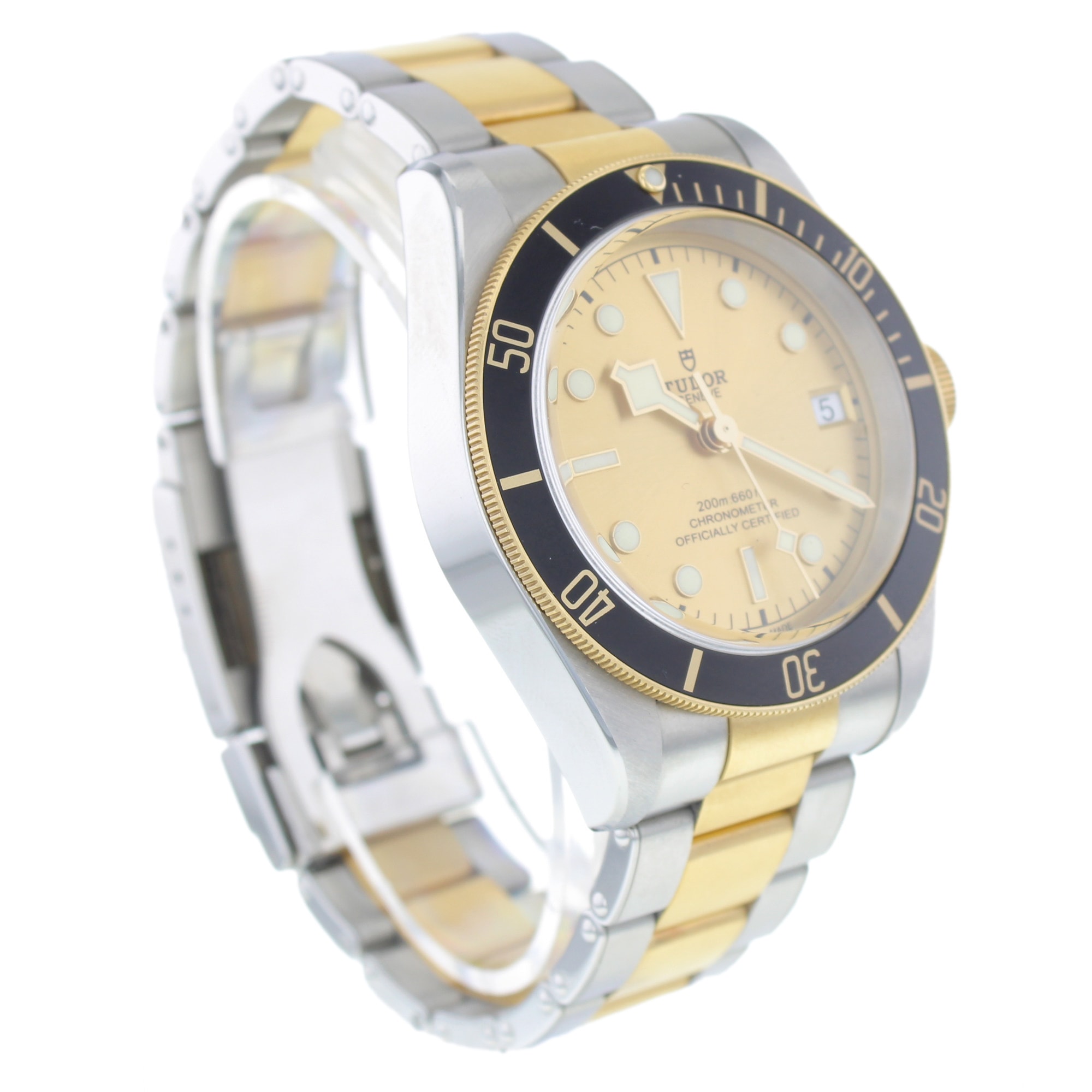 Tudor Black Bay 79733N